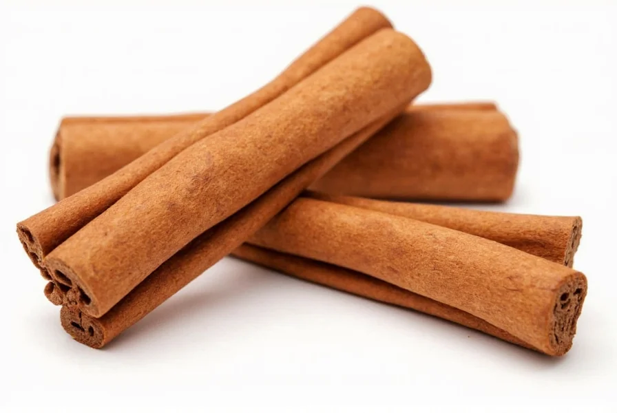 Comparison of Saigon cinnamon sticks versus Ceylon cinnamon sticks showing the thicker, harder Saigon variety versus the thinner, layered Ceylon variety