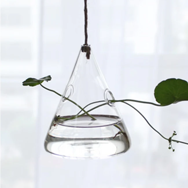 

Hand Made Glass Vase Plant Hydroponic Vase, Clear