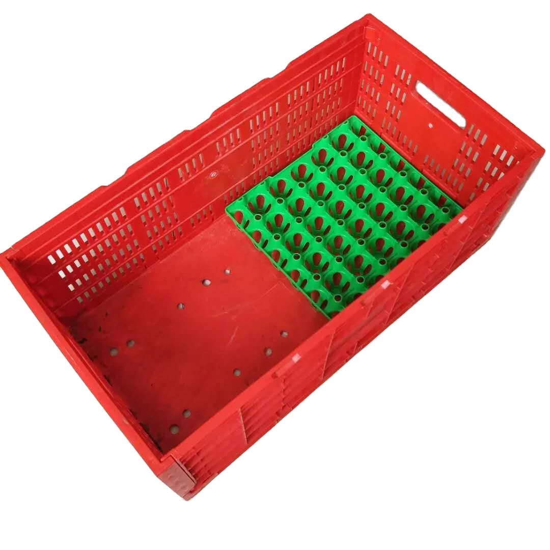 Chick Quail Transport Crate Game Bird Transport Crate Plastic Poultry