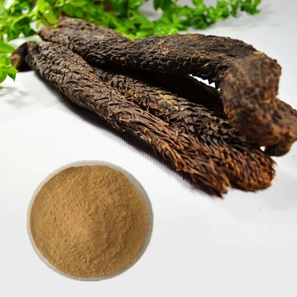 Pure Natural Echinacoside Verbascoside Cistanche Cistanche Tubulosa Extract Tubulosa Extract cistanche extract 