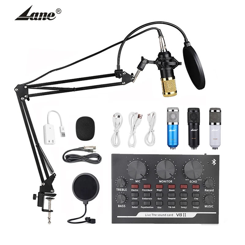 

lane Hot Sale Professional Capacitive Sound Head Recording Studio Microphone