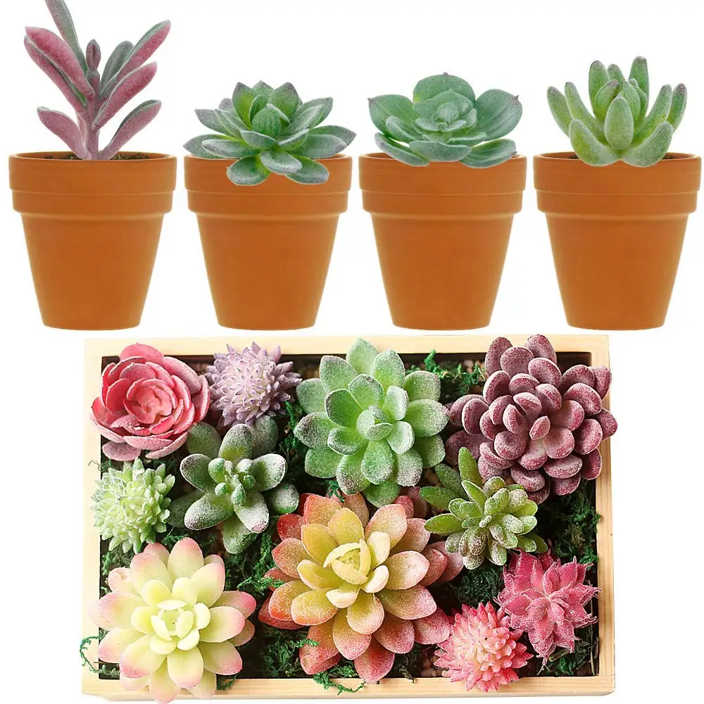 16 Pack Artificial Succulent Flocking Plants Unpotted Mini Succulents