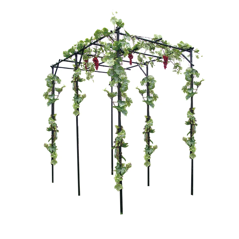 

High Quality Simple Large Grapes Fruits Climbing Plants Trellis for garden, Black