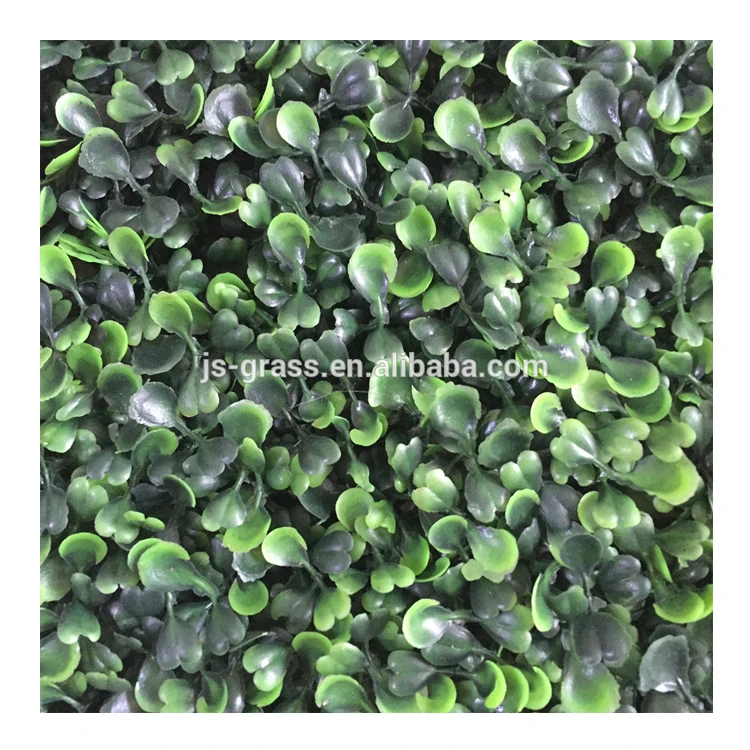 

Jiangsen Green Wall Ivy Artificial Grass Plants Green Boxwood For Decoration, Colors available