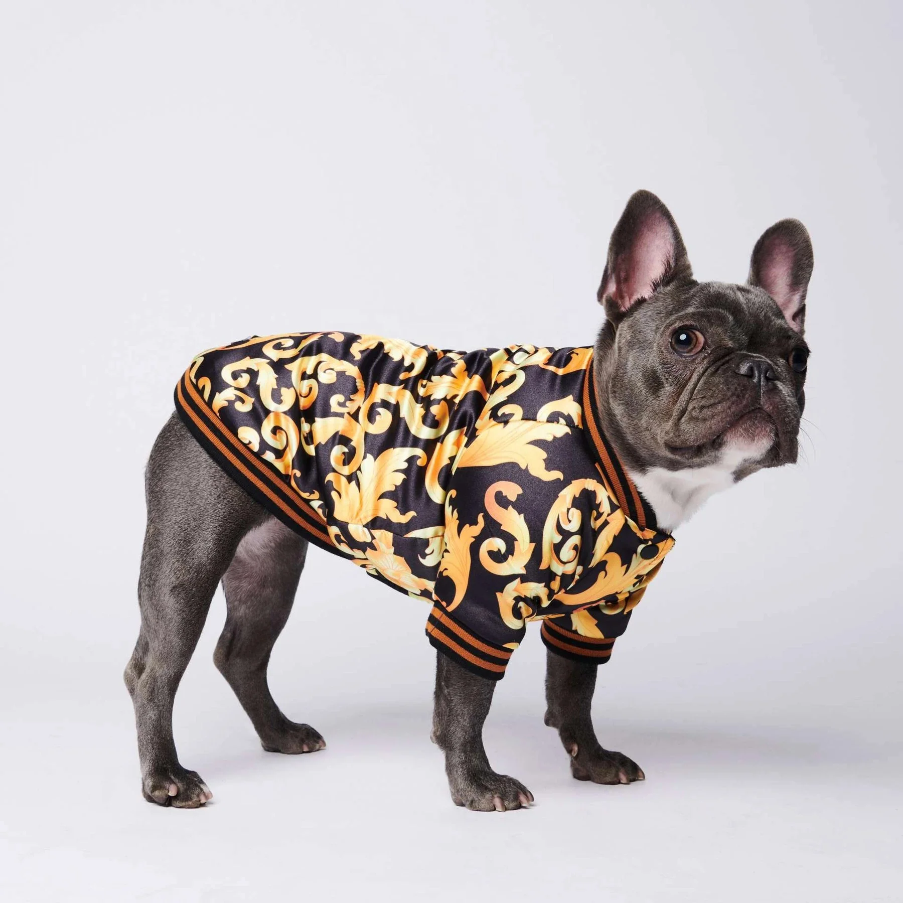 

Wholesale Puppy Designer Luxury Custom Cotton Pet Jacket Clothing Cat Dog Clothes