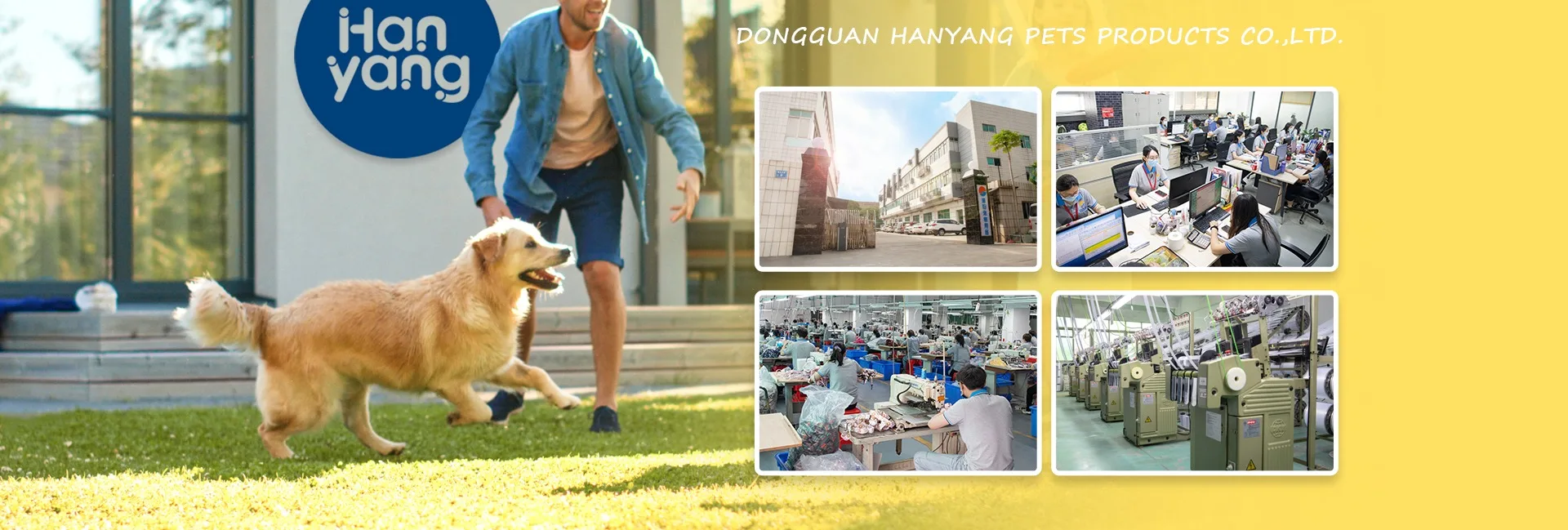 Dongguan Hanyang Pet Products Co., Ltd. Pet Collar; Pet Leash; Pet