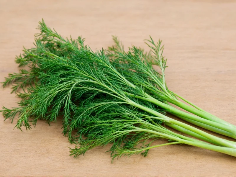Fresh Dill to Dried: Conversion Ratio & Drying Guide