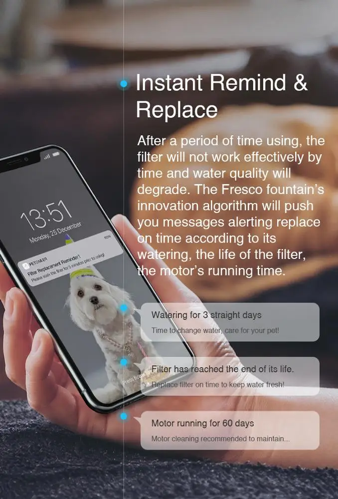 alibaba_Fresco-Pro_06