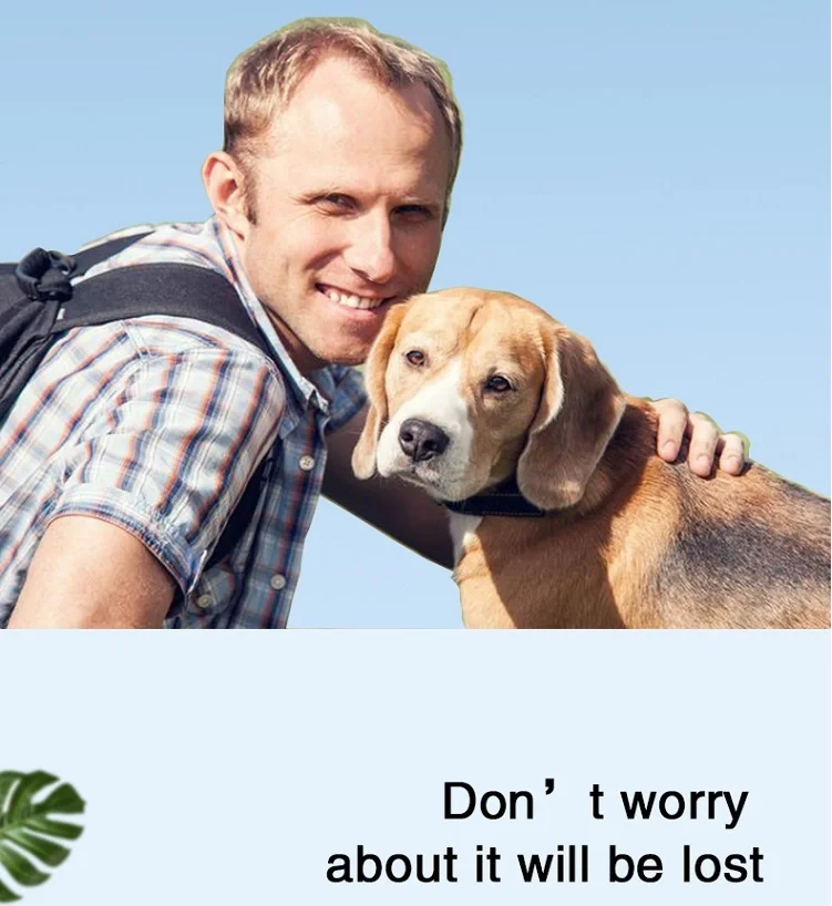 B63-19.png