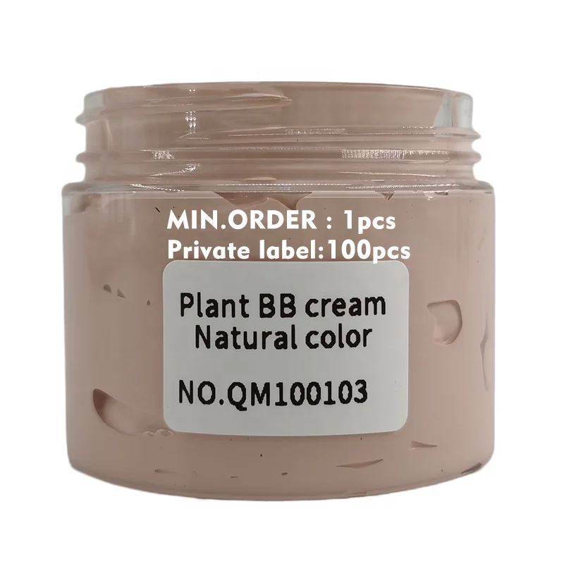 

PULAN Make up Bb Cream Private Label Moisturizing Foundation Waterproof BB Cream