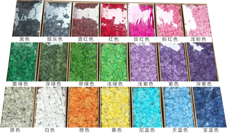 8918949099_1787692047