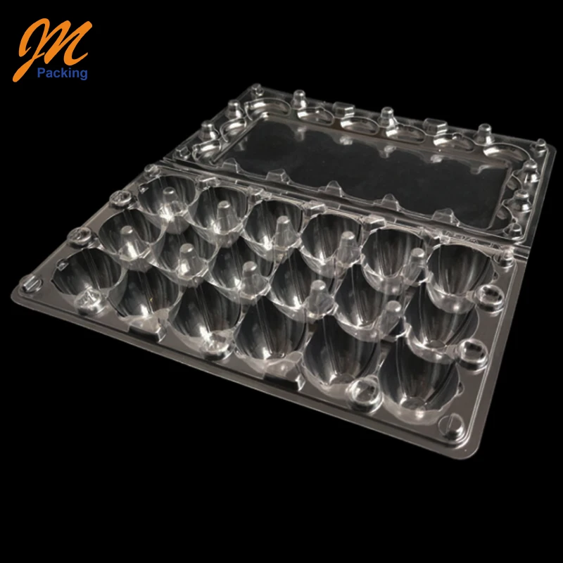 quaileggtray10.jpg