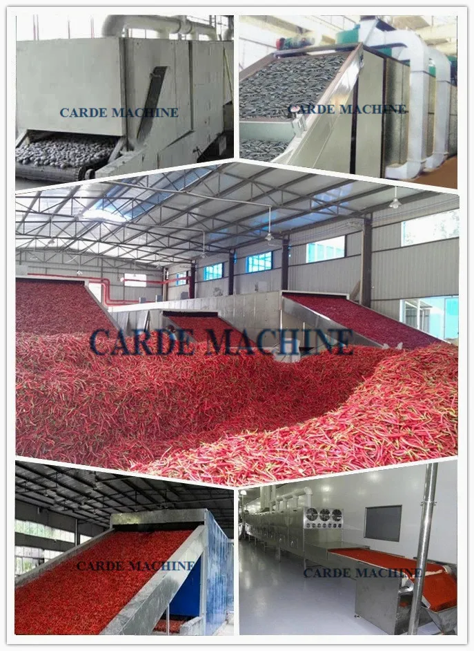 Multi-layer dryer (3).jpg