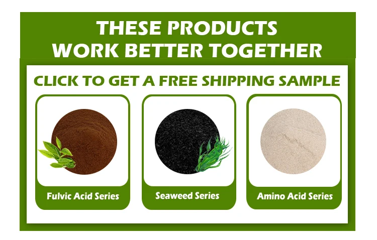humic-acid-__08