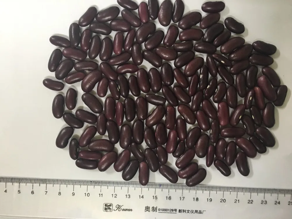
VIETNAM ORIGINAL RED KIDNEY BEANS 