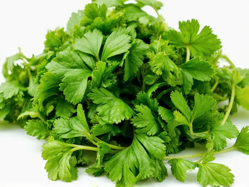 Cilantro vs Parsley: Differences, Uses & Substitutions