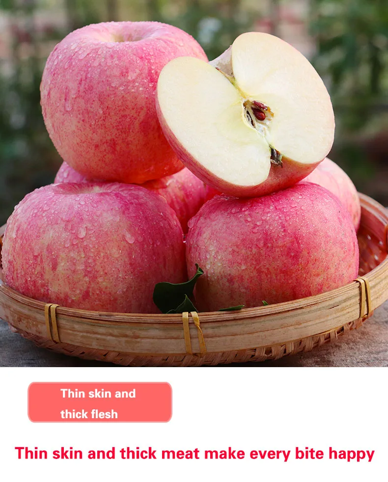 所有行业  农业 水果 新鲜水果  新鲜苹果