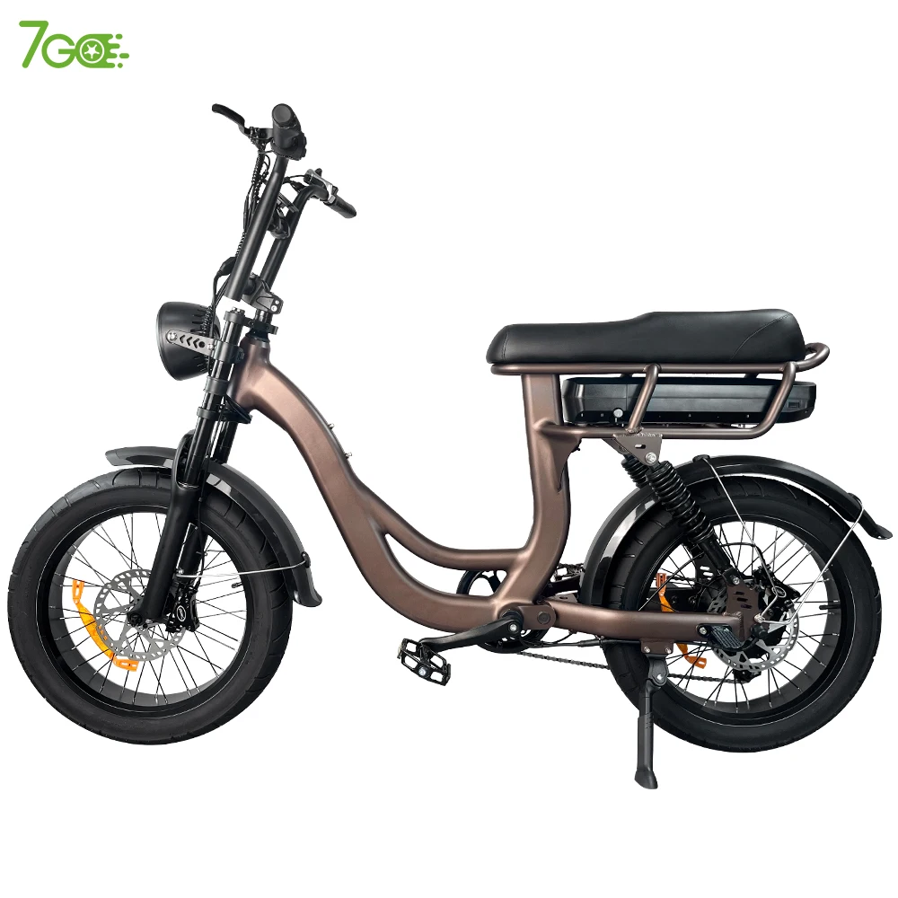 

2023 250w 750w 1000w road adult bicicleta electrica electric Mountain Bike fat tire Retro Vintage electric city e bike