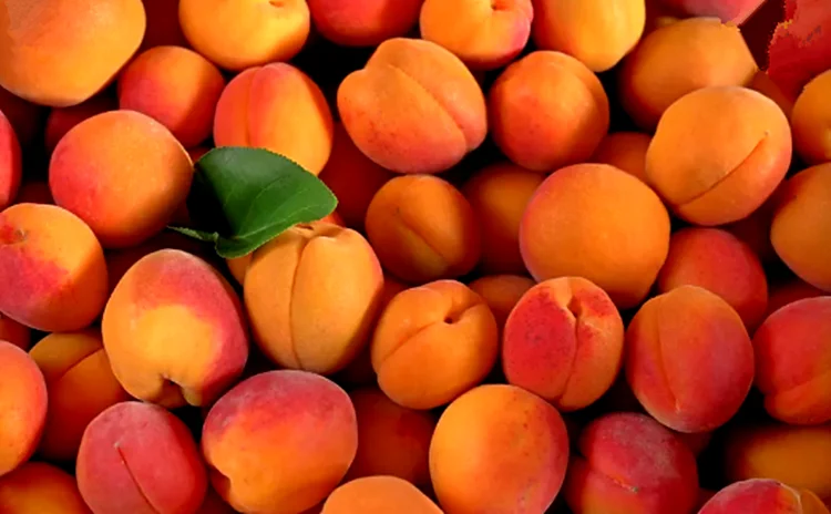 mt health organic 100%natural prunus persica honey peach juice