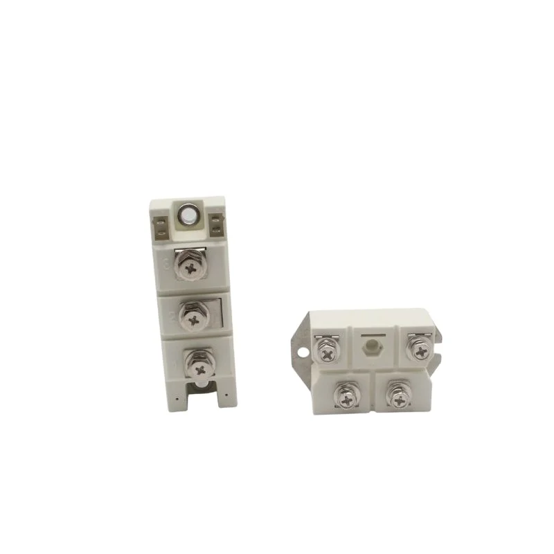 

Diodes For Alternator Module SKKT42