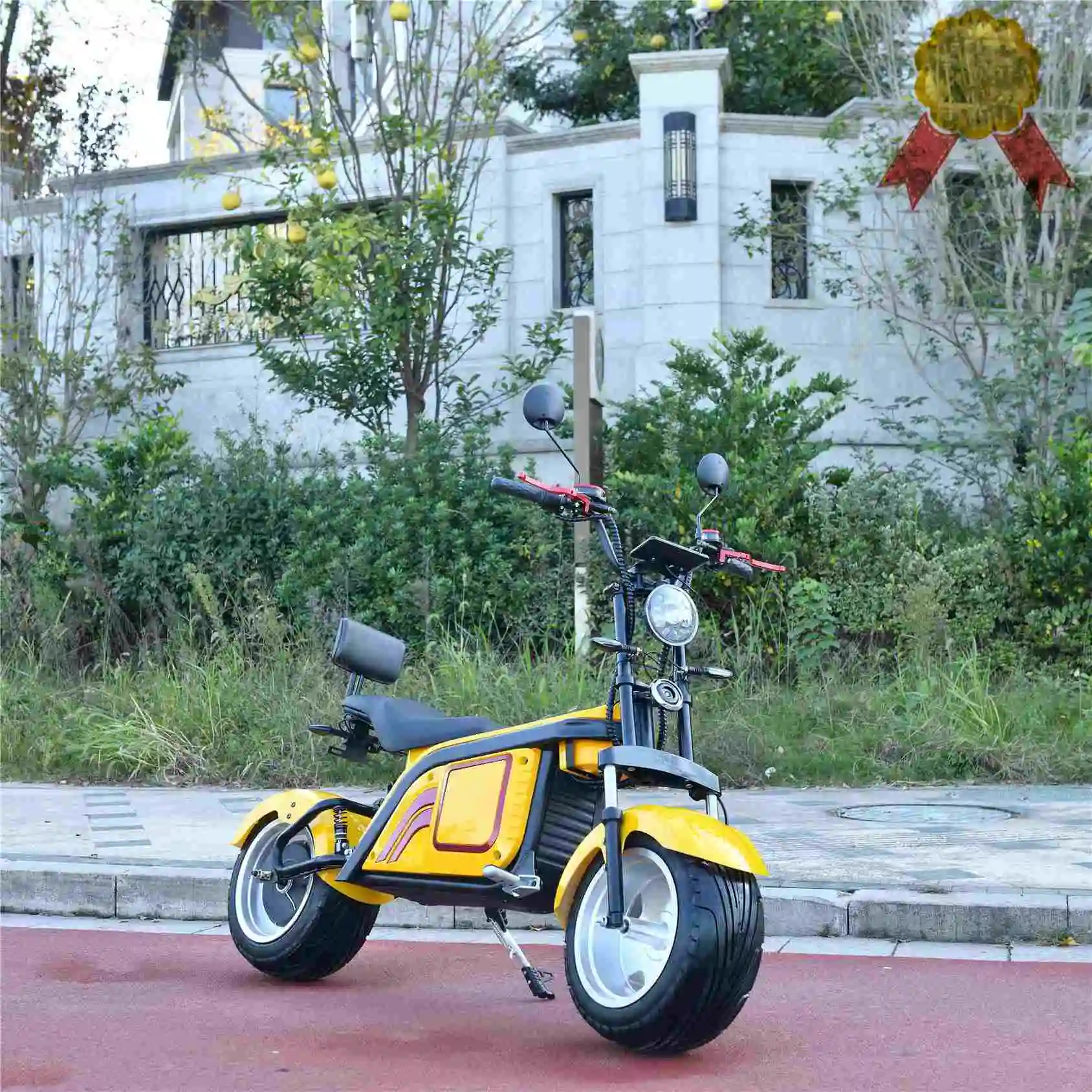 

Factory Direct Sale EEC Model Citycoco Scooter