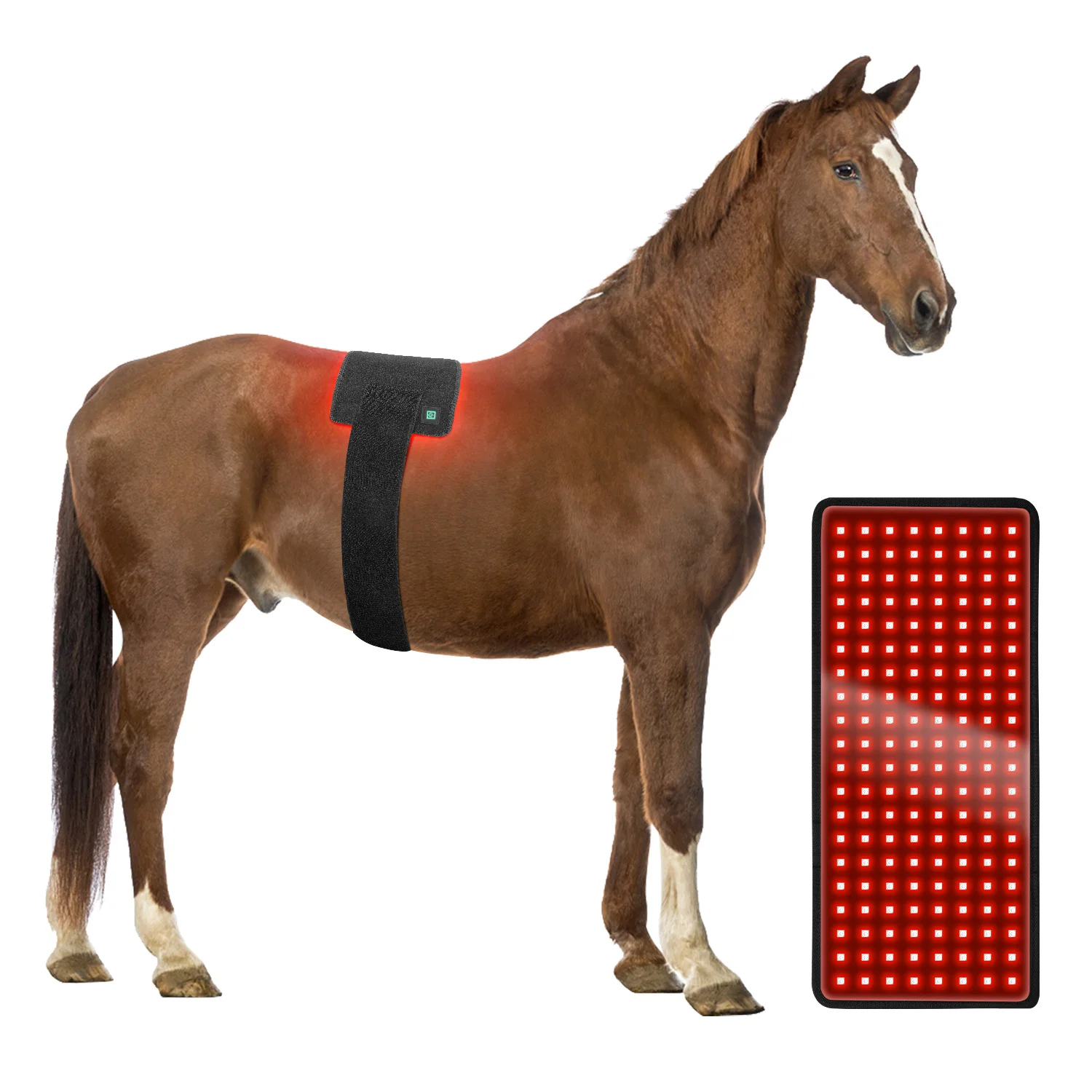 Red Pet Hoof Red Light Therapy Wrap Belt With Logo 660nm 850nm Animal Therapy Hoof Wraps Light Therapy Device for Dog Cat Horse