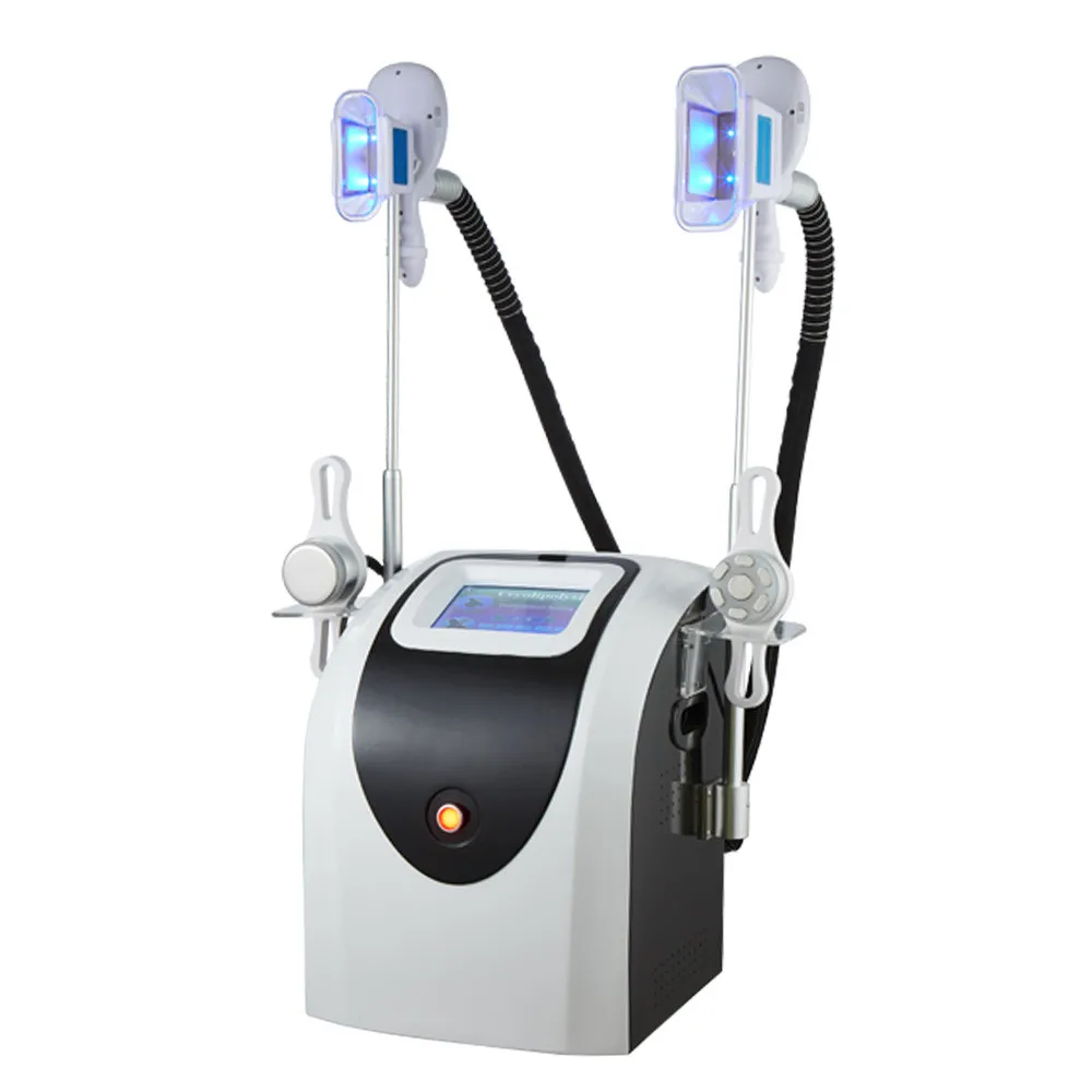 

Cold freezing weight loss beauty dual handles cryolipolysis fat feezing therapy fat loss machine