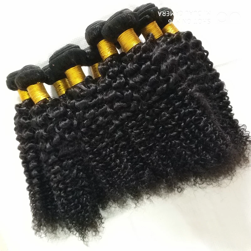 

Letsfly Kinky curly Brazilian Human hair Hot selling cuticle aligned kinky hair ,luxury quality Virgin hair extension