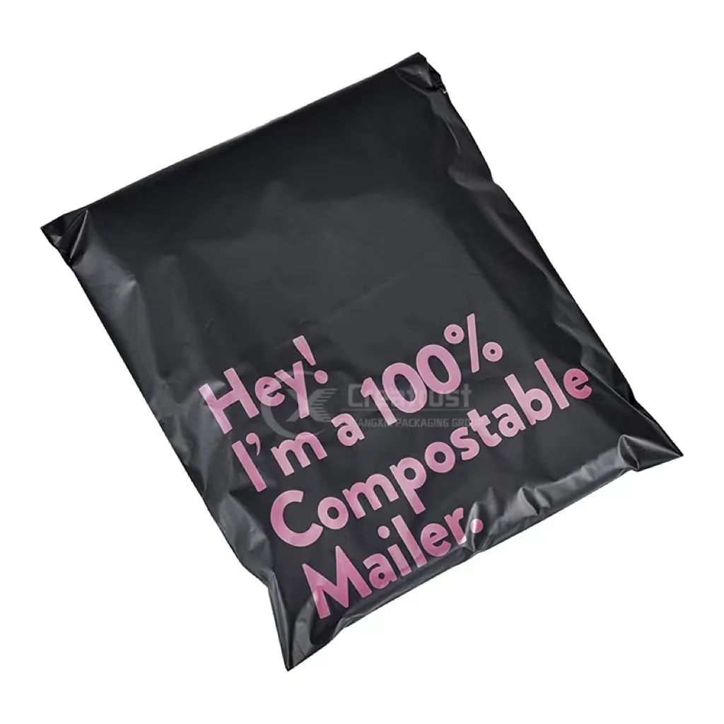 

CXBZ frosted bag biodegradable mailing bags extra large biodegradable mailer packing bag compostable