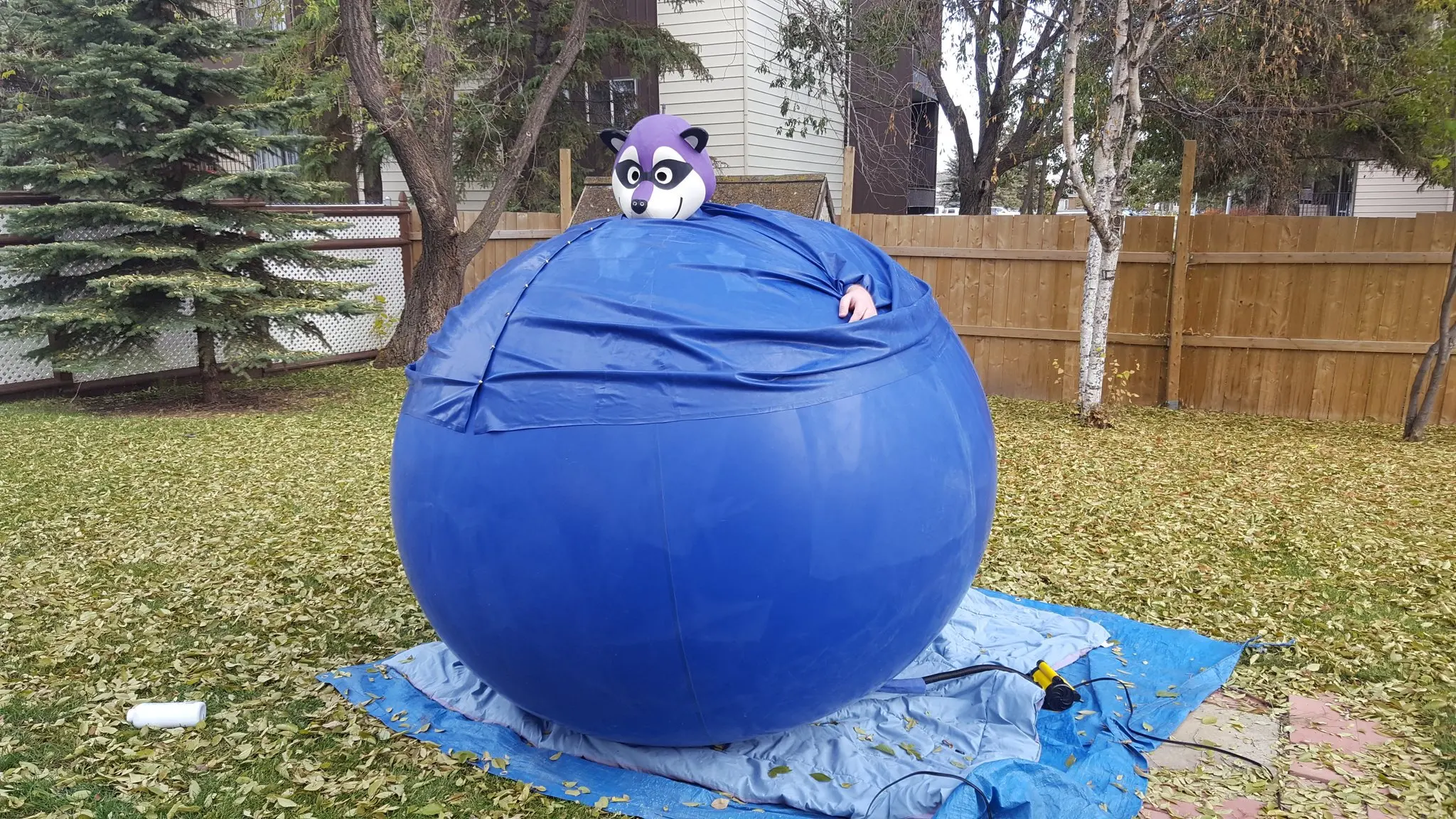 Related Products. inflatable blueberry suit. 