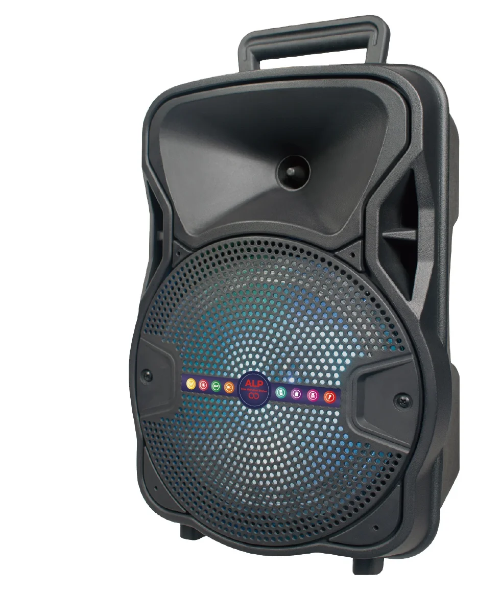 

8 inch High performance portable wireless high quality outdoor modern rechargeable commercial speaker, Black