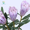 Renewed Life Warm Vivid Dyed Protea Single Flower Decoration for Living Room