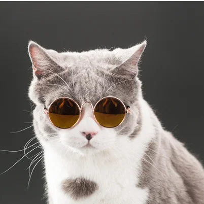 

Wholesale fashion Pet Sunglasses Goggles for cats and dogs
