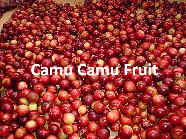 Camu camu fruit