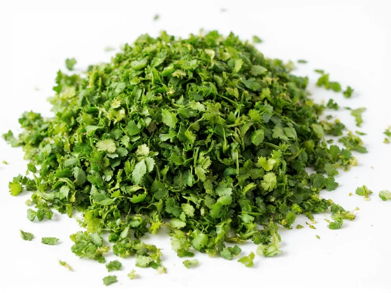 is coriander dried cilantro