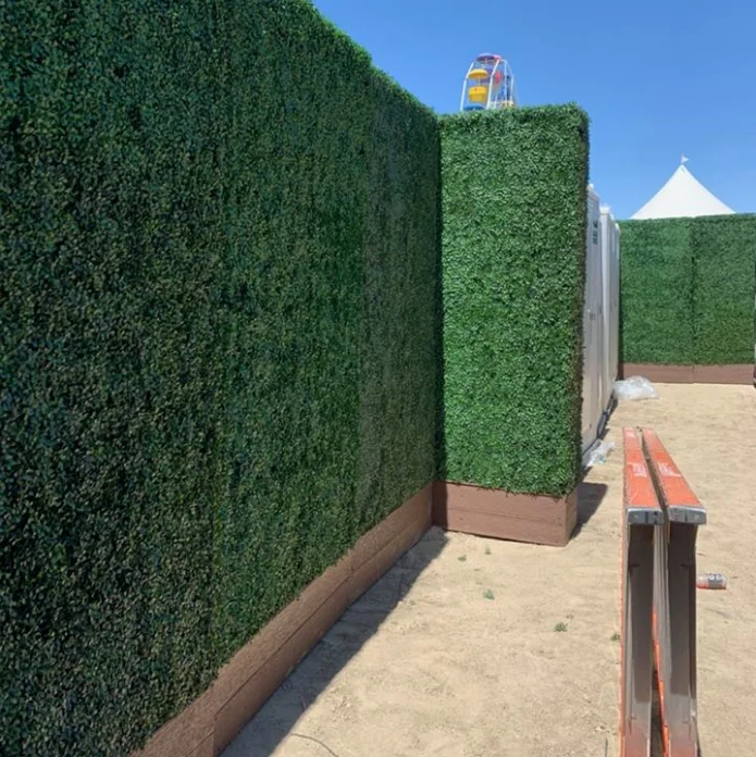 boxwood hedge (10).png
