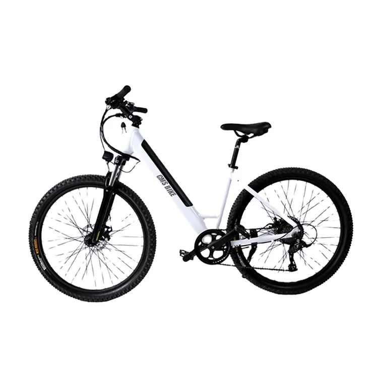 

27.5 Inch Mountain E-Bike Other Electric Bike/ Electric Sports Bike Electric Dirt Bike for Sale