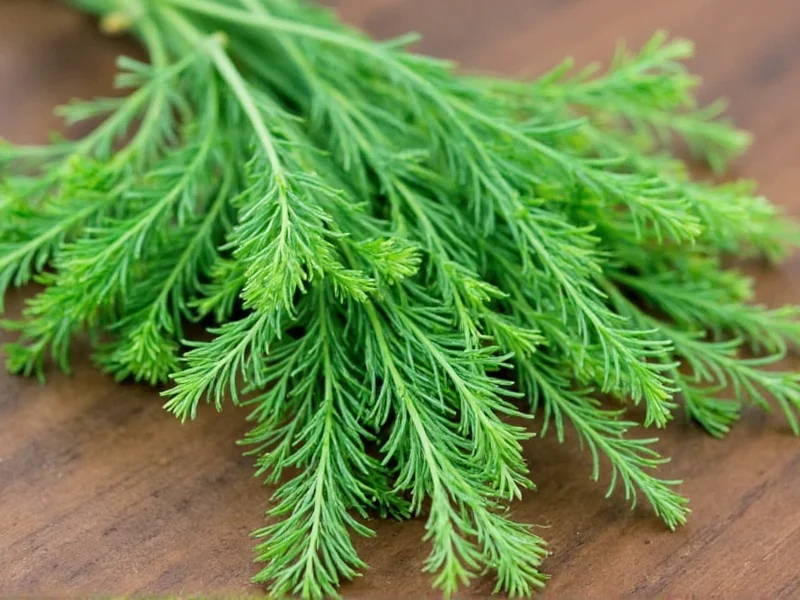 How to Dry Fresh Dill: Best Methods & Storage Tips