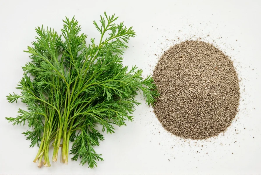 dill vs dill seed a flavorful comparison for every cook