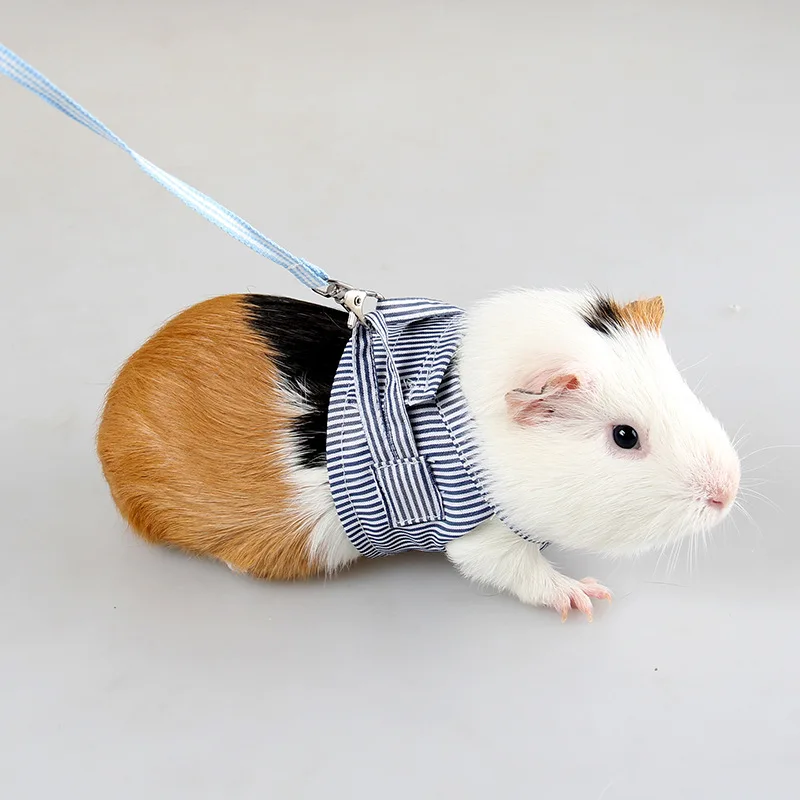 

Small Animal Harness and Leash Guinea Pig Rabbit No Pull Comfort Padded Cotton Stripe Vest Suit for Mini pets Chinchilla Puppy, Picture