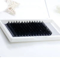 

extreme eyelashes bulk individual eyelashes single eyelash extensions