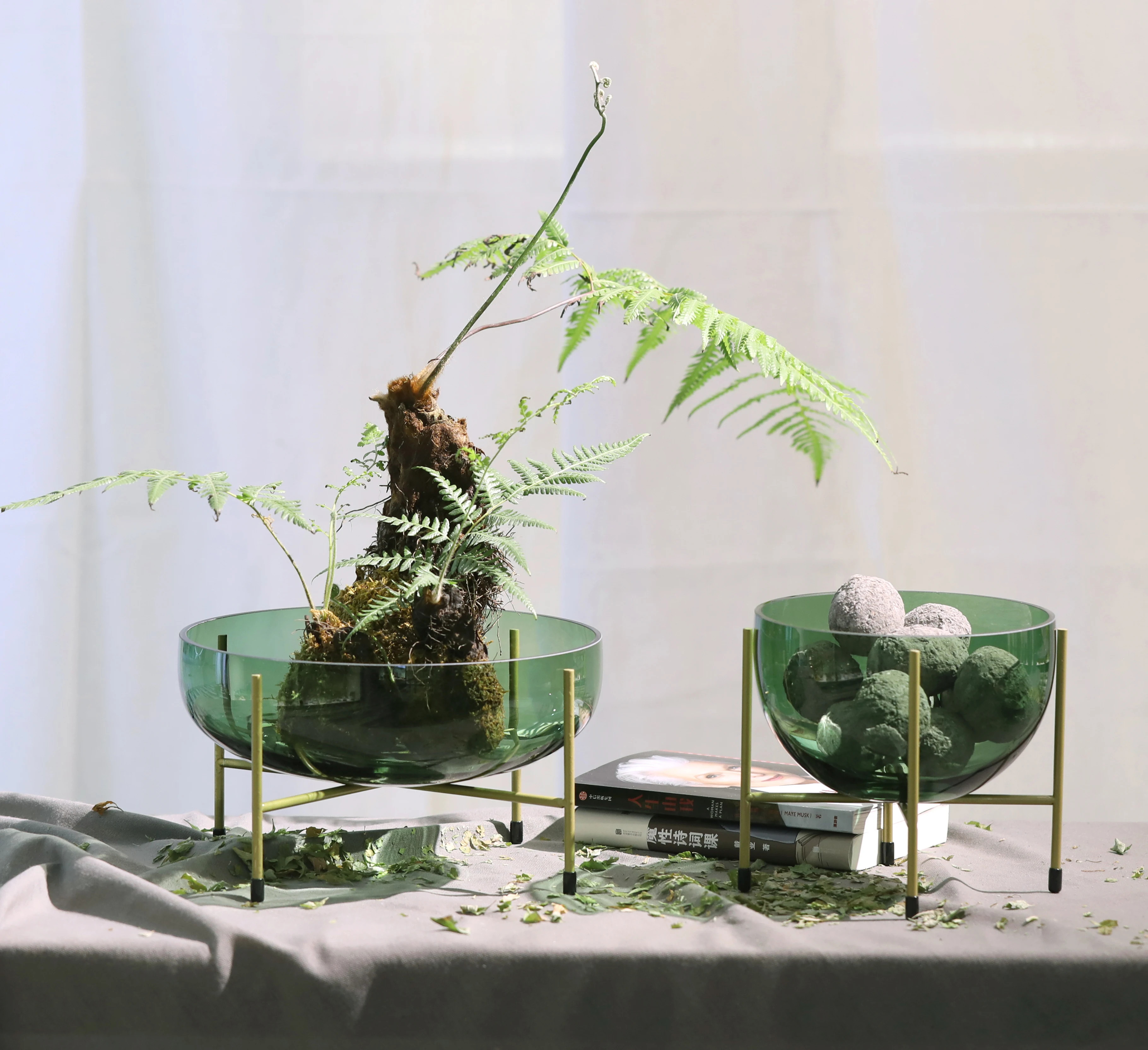 

Bixuan Fruit Bowl Terrarium Glass Hydroponic Planter Holder Water Plant Containers Brass Stand Green Flower Vase Centerpiece