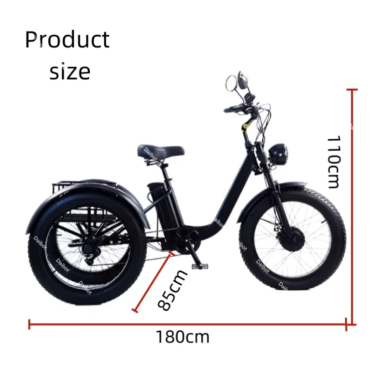 24 Inch Fat Tire 3-Wheel Cargo E-Tricycle Removable Lithium Battery for Family Adults Daily Transport, US EU Warehouse Stock