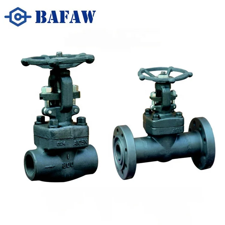 

High Pressure 800LB Internal Thread Gate Valve