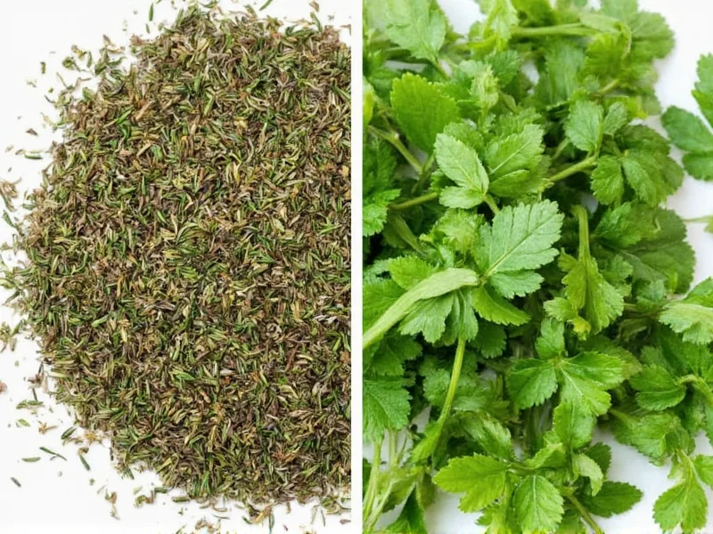 Dry Herbs vs Fresh: When to Use Each for Best Flavor