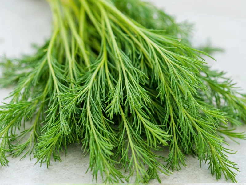 Fresh Dill Weed: Complete Guide to Selection and Use