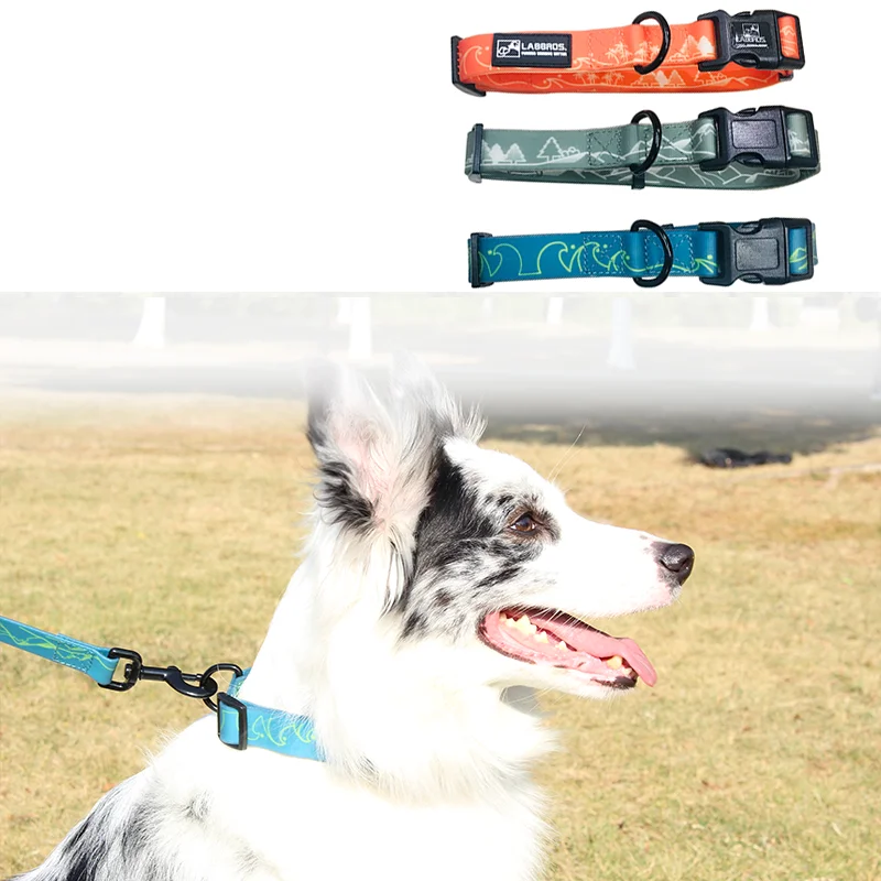 

Manufacturer wholesale price custom printing waterproof fashion unique dog collars