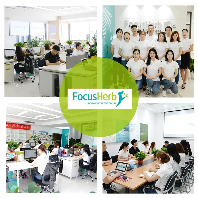 
FocusHerb 100% Natural Organic Pea Isolate Protein Powder 