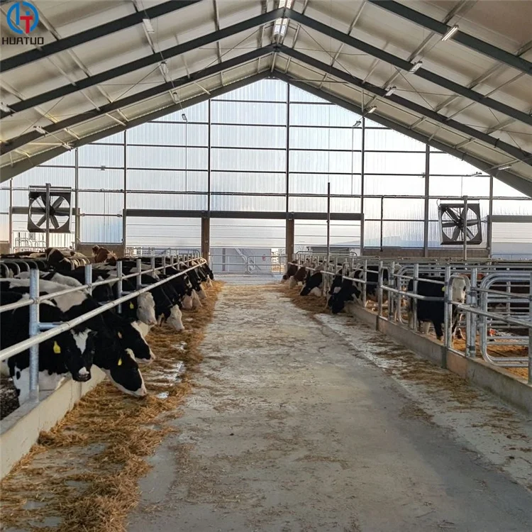 Stable Prefab Steel Structure Milk Dairy Cattle Cow House Shed Farm