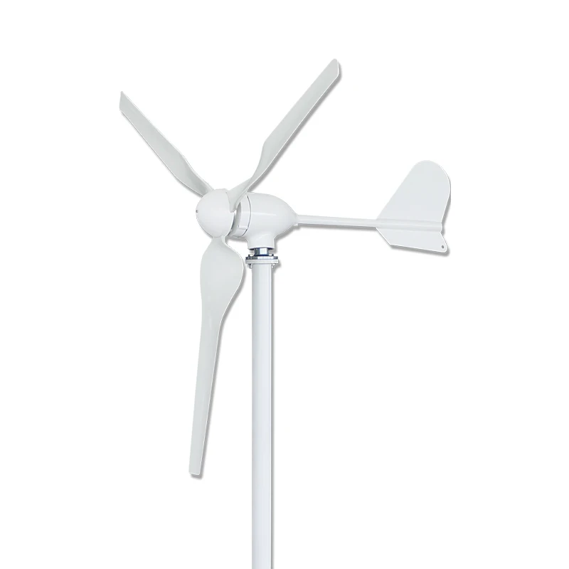 

New Energy 1000w horizontal wind turbine generator 24v 48v out put with mppt wind controller for home use CHARGING BATTERY